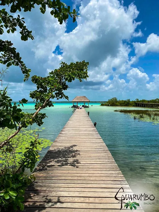 Guarumbo Bacalar